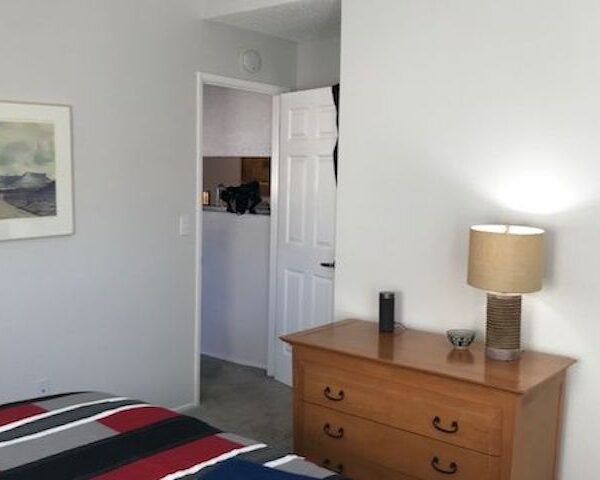 newroom