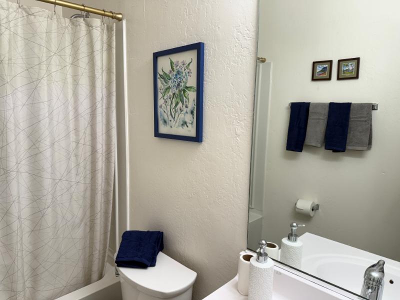 Home 1 Bathroom After