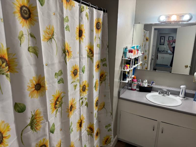 Home 3 Bathroom Before