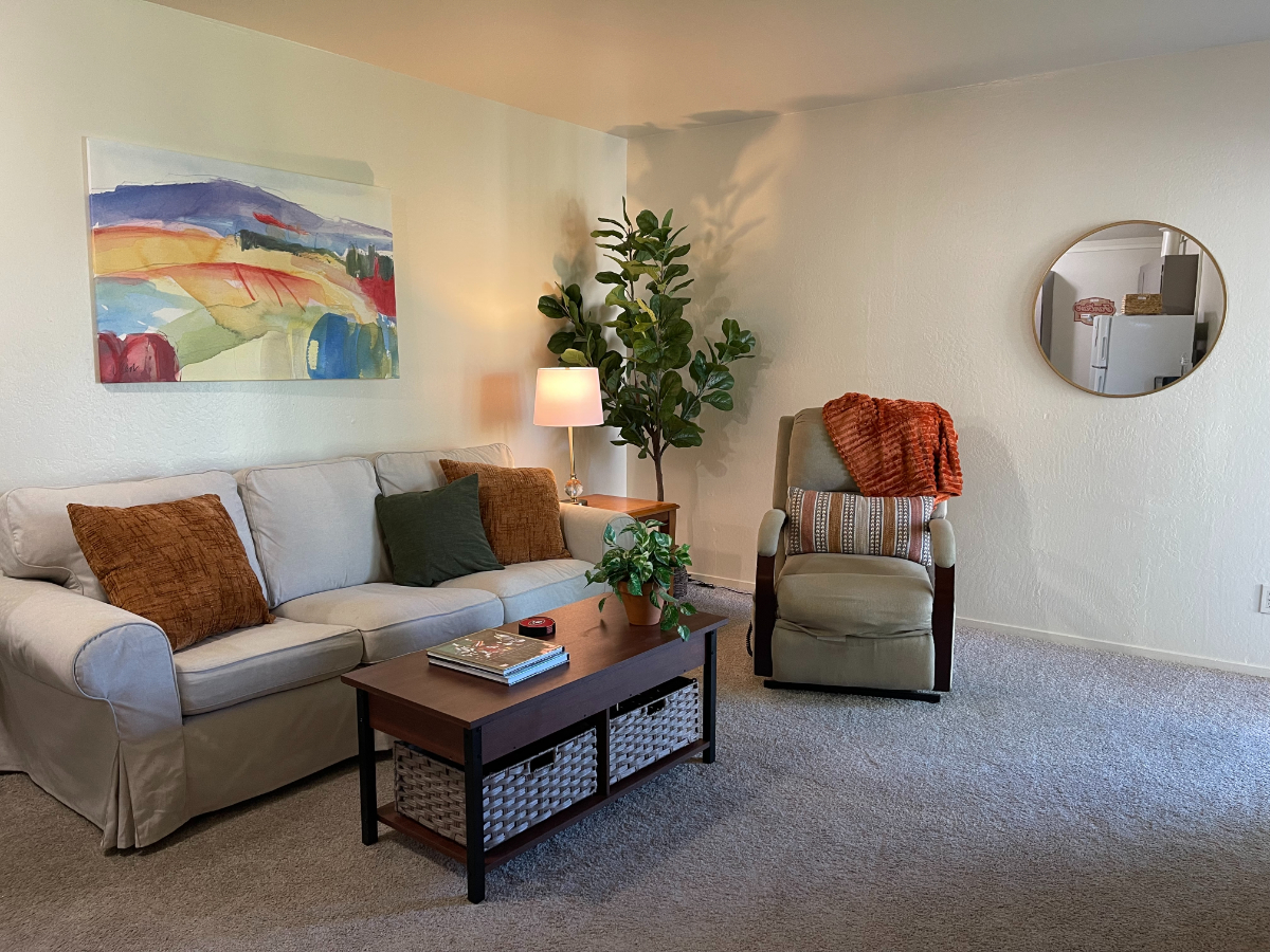 Home One Living Room Affter