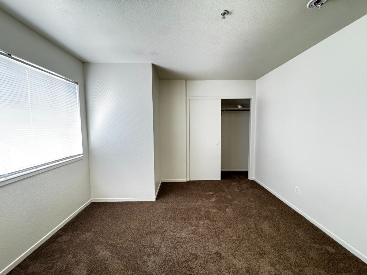 November 22, 2025 Before and After, Sonoma - Before