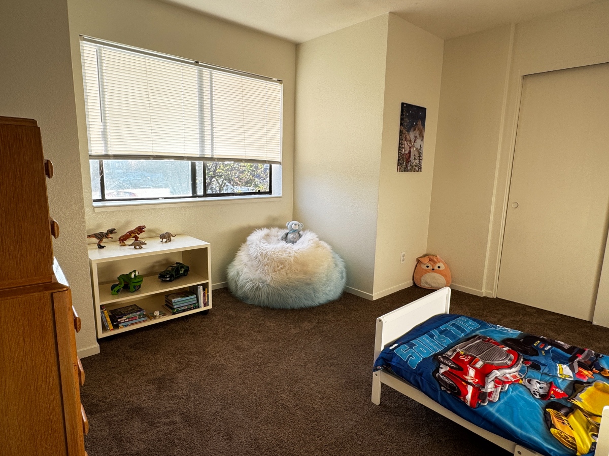 November 22, 2025 Before and After, Sonoma