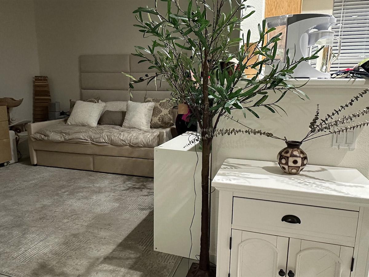 sponsored welcoming Marin 12/18 - after