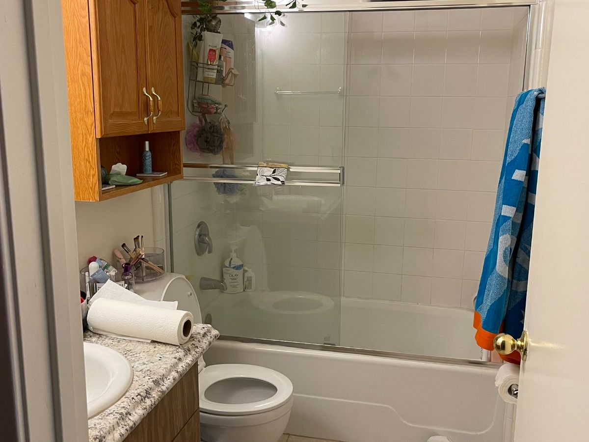 Home 3 bathroom before