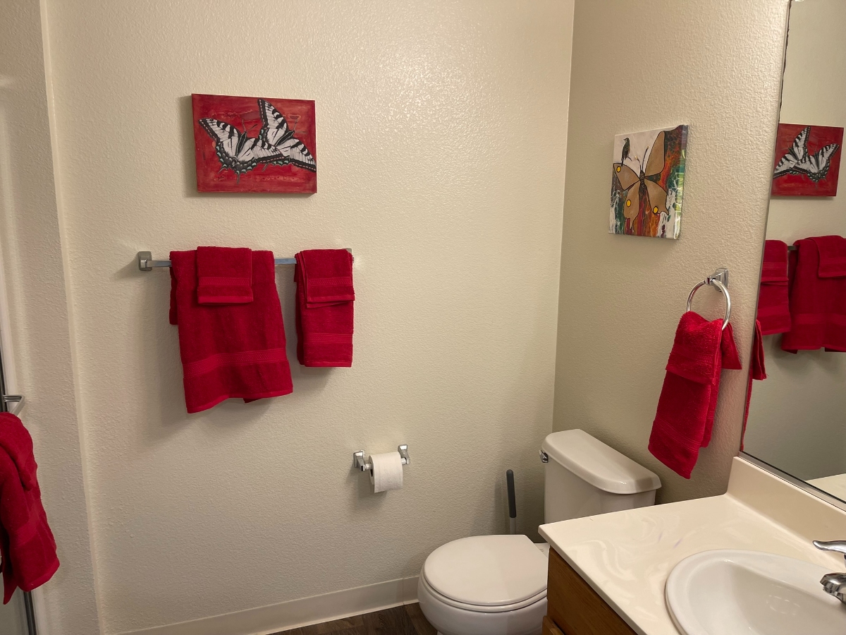 home 3 bathroom after