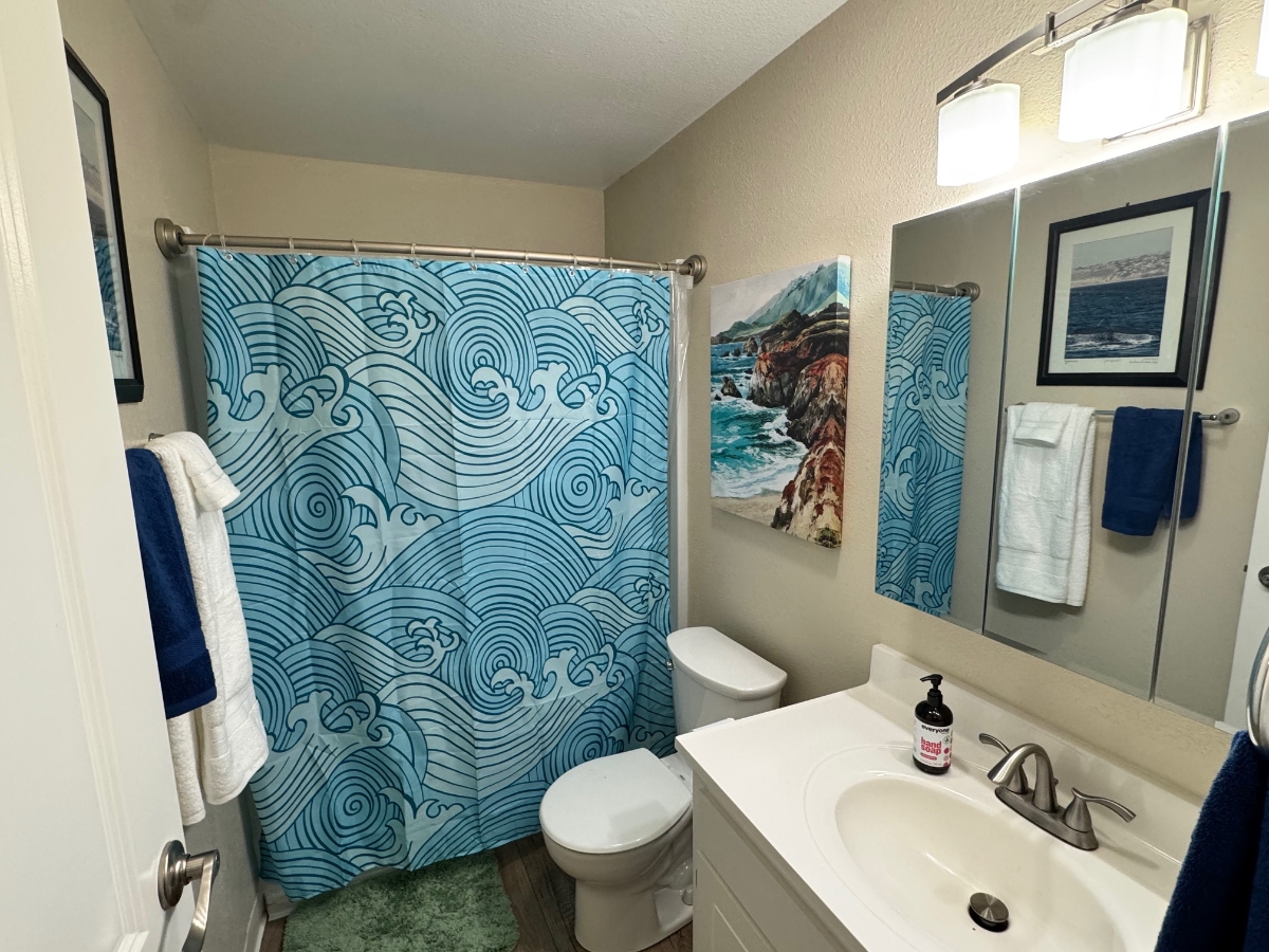 Home 1 bathroom after