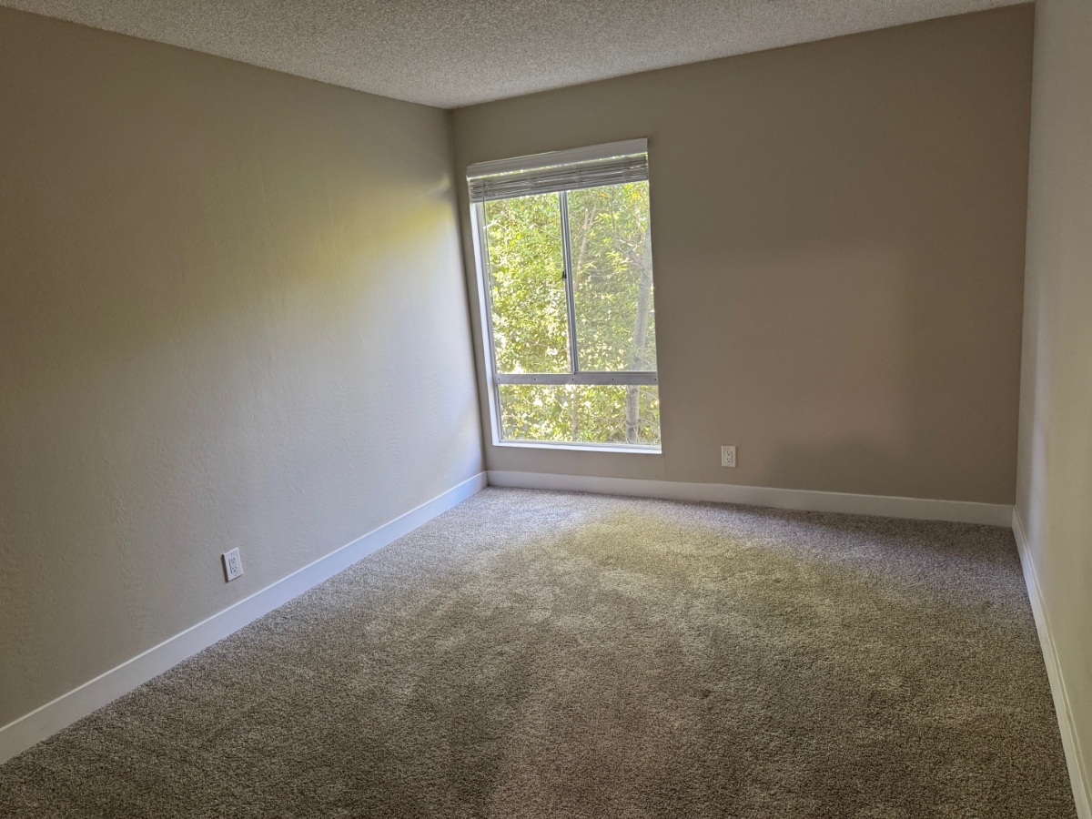 Home 1 Bedroom Before